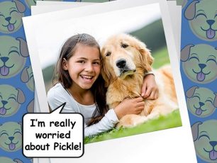 MY DOG IS GETTING OLD, AND I’M REALLY WORRIED!!!