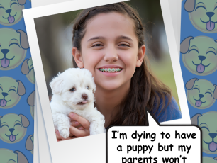 My Parents Won’t Let Me Get A Puppy!!!