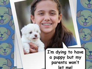 My Parents Won’t Let Me Get A Puppy!!!