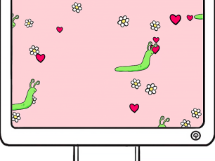 Quirky Question of the Month